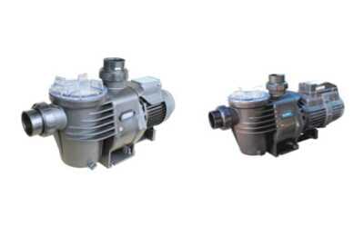 single speed and variable speed pool pump